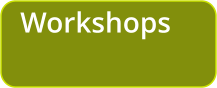 Workshops
